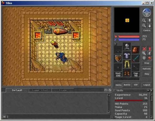 Tibia 044249,2